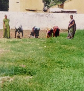 Clean India