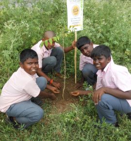 சுற்றுசூழல் தின விழா